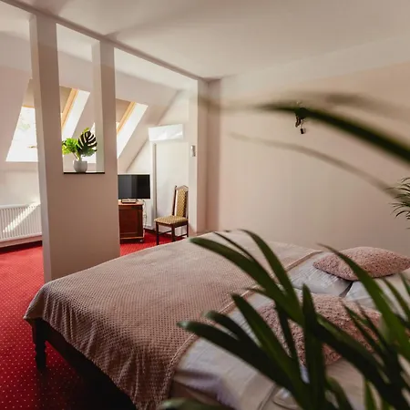 Hotel Aslan 3*