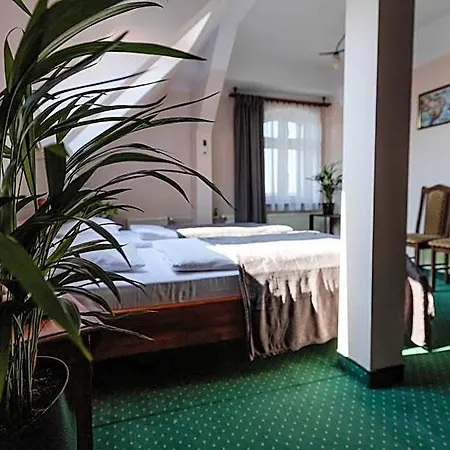Aslan Hotel 3*