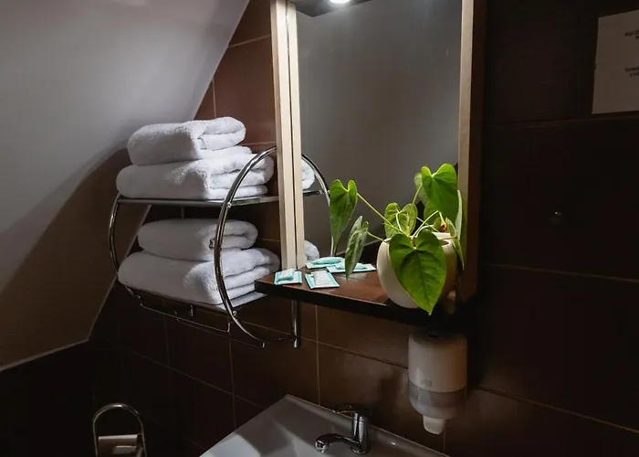 Aslan Tarnowskie Gory