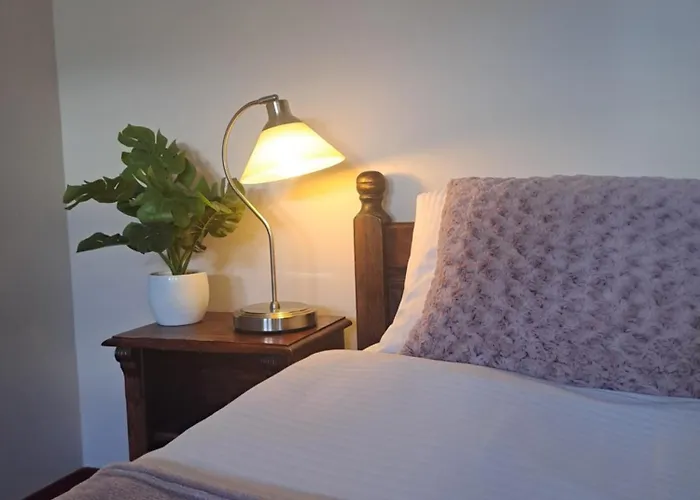 Aslan Tarnowskie Gory